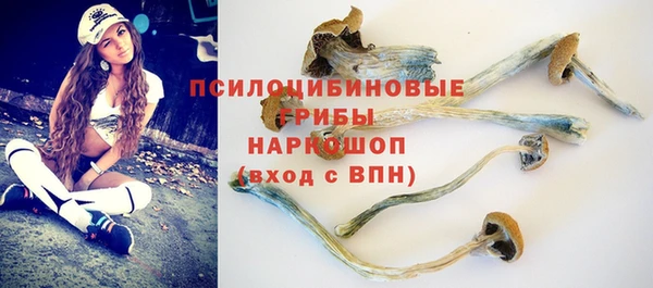 гидропоника Алапаевск